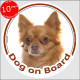 Circle sticker "Dog on board" 15 cm, red long hair Chihuahua, car label, decal adhesive fawn orange