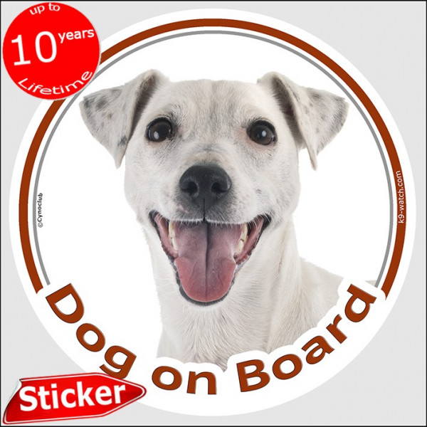 Smooth haired White Jack Russell Terrier, Car Circle sticker "Dog on board" decal label adhesive photo notice