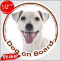 White Jack Russell, car circle sticker "Dog on board" 15 cm