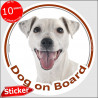 Smooth haired White Jack Russell Terrier, Car Circle sticker "Dog on board" decal label adhesive photo notice