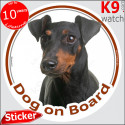 Manchester Terrier, circle sticker "Dog on board" 14 cm