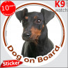 Manchester Terrier Head, circle sticker "Dog on board" decal label car adhesive photo notice