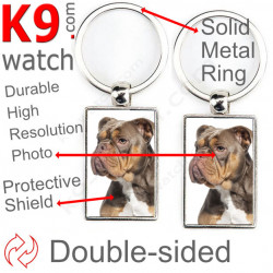 Double-sided metal key ring with photo Brown Chocolate and Tan American Bully, metal key ring gift idea double faced key holder